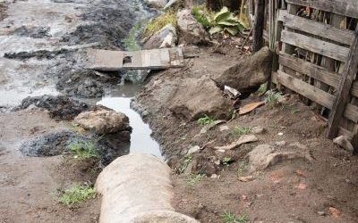 Transformação de Favela