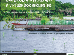 Relatório Anual do Meu Educador Social Cristão 2019