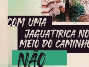Com Uma Jaguatirica no Meio do Caminho: Não