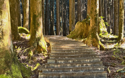 Vivendo o processo da generosidade 