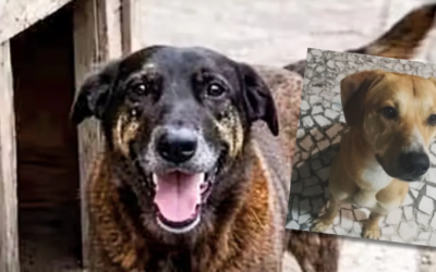 Meu filho não é quem eu pensei: e agora?