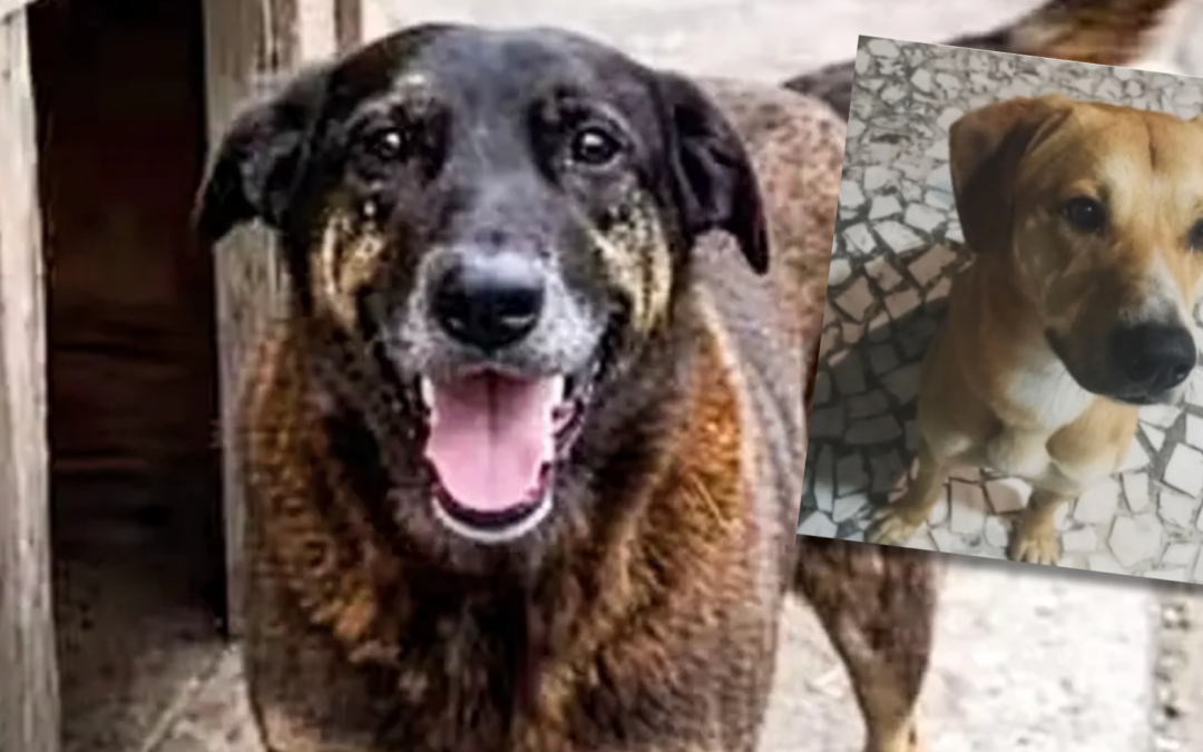 Meu filho não é quem eu pensei: e agora?