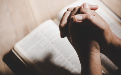 A imperfeição do coração disciplinado dos pais 